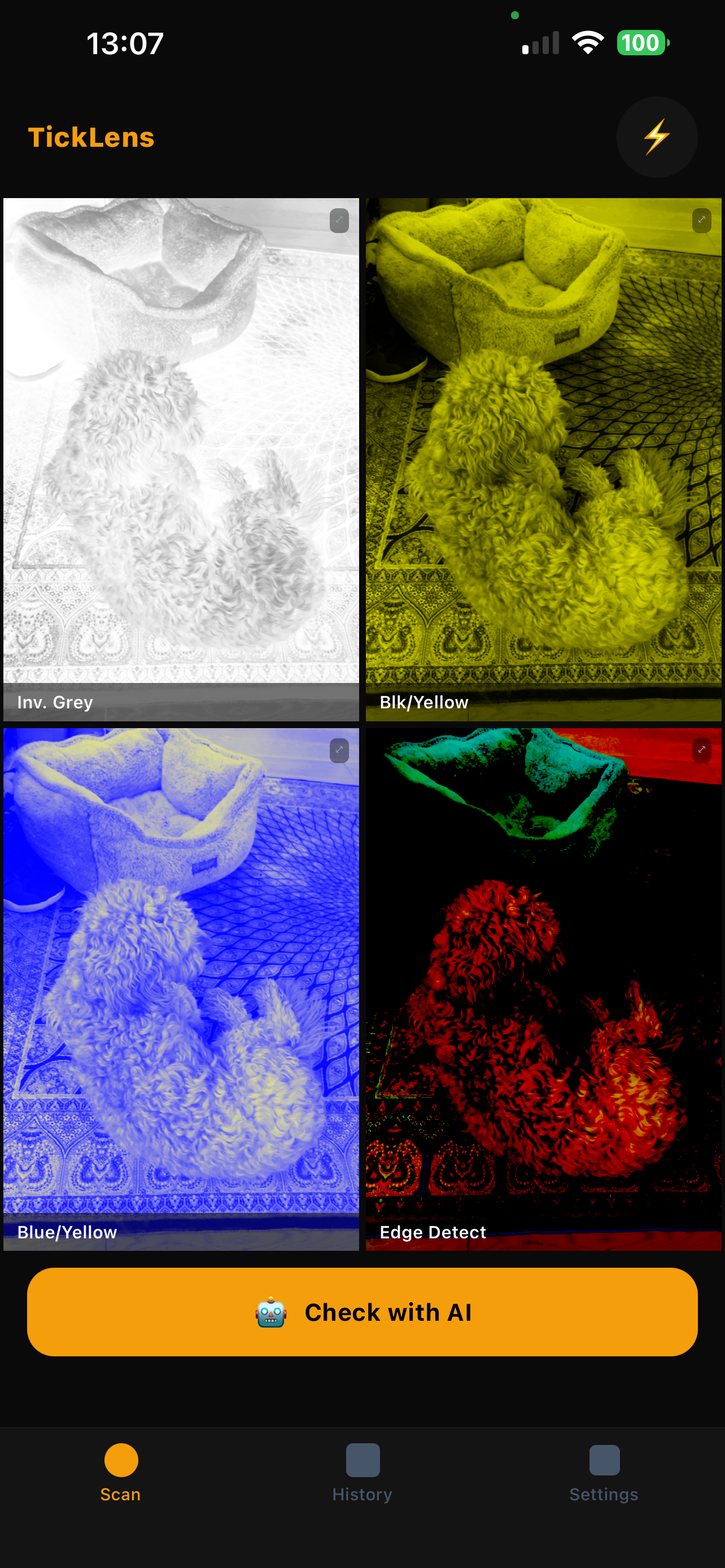 TickLens scanner showing four filter views